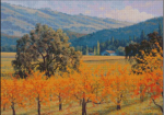 (image for) Sonoma Vineyards
